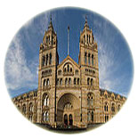 Natural History Museum of London