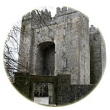  Shannon castle structure